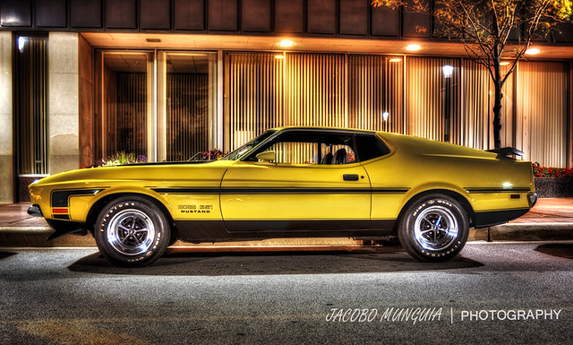 ford car yellow canon autos fordmustang oldcars hdr carshow musclecar yellowcar mach1 mustangmach1 carshows automania fordcobra classicmustang project365 canonllens canonprime flickrcars 40d hdrcar canonef1635mmf28 mustangboss carcruise americanmusclecar fordmustangcobra yellowmustang canonistas canoneos40d carhdr altorangodinamico fordcustom canon40d fordoldcar fordclassic boss351 autosmodificados mustangboss351 autosamericanos hdrenespañol fordclassiccar hdrclassiccar canonef1635mmf8 fordhdr hdrclassic carcruisenightstcharlesil carcruiseil fordantiquecar fordclassiccarhdr fordhighdynamicrange plainfieldilcarshow carcruiseplainfield fordmustancobra autosconlucesneon hdrcarros hrdauto classicmustangshelby oldshelby oldmustandmustang 1968fordmustangcanon mustandford mustangneonlights 1971boss351 mach2mach3 mustangmach11971boss351 yellowmach1