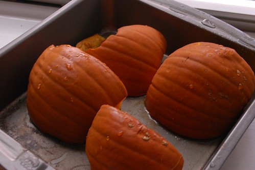Allow the pumpkin to cool for 10-20 minutes, then take a spoon and scrape 