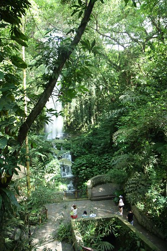 waterfall at african enclosure