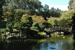 Hakone Gardens, Saratoga