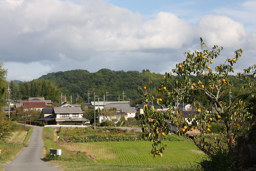 里の秋　The autumn of the village