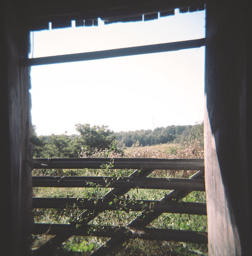 view from a barn