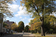 北海道大學