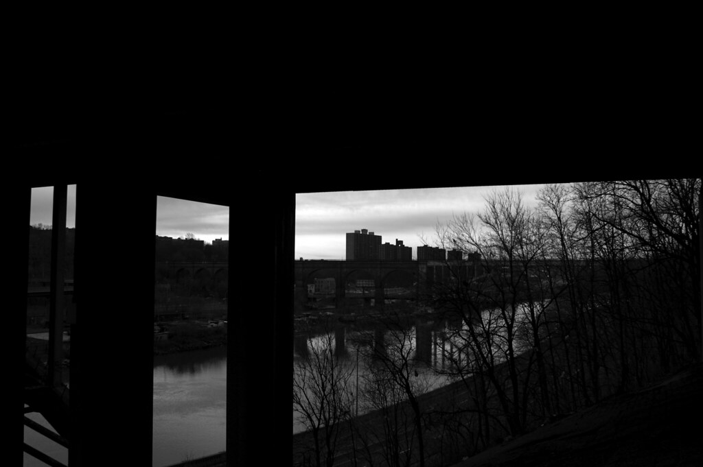 Bronx Views