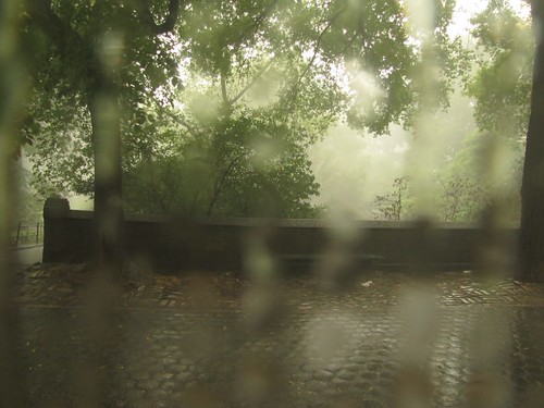 Rainy Park