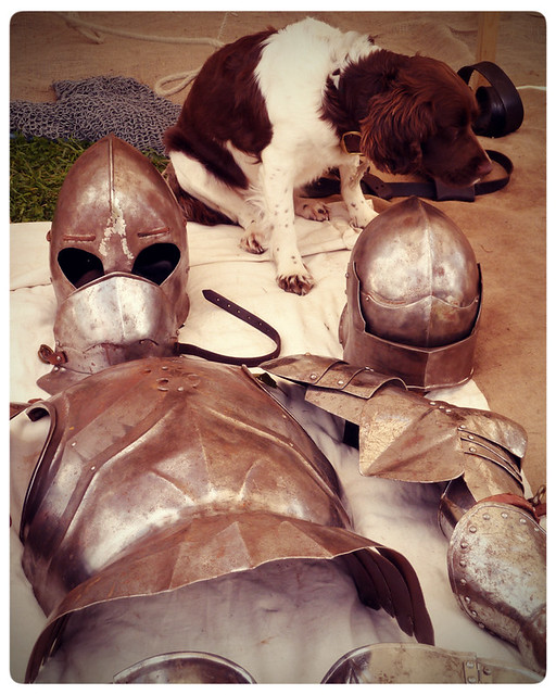 Herstmonceux Medieval Festival ~ guard dog