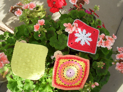 My Flowers seem to be improving second lease of life. Pretty Squares from Karin!......>