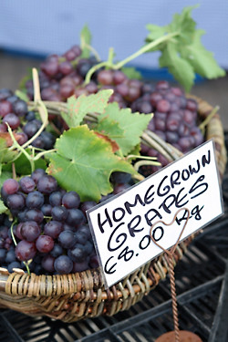 homegrown grapes