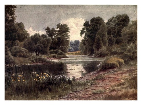 005-El lago visto desde el sur-Kew gardens 1908- Martin T. Mower