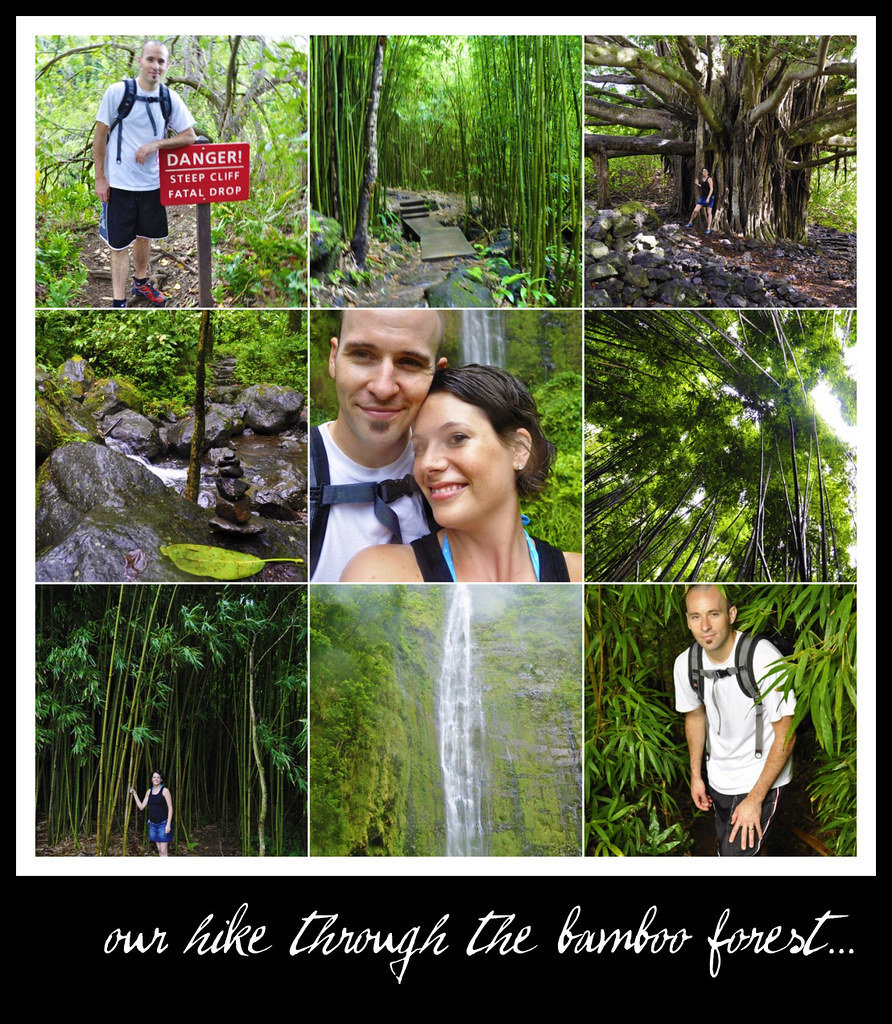 hike through bamboo forest...