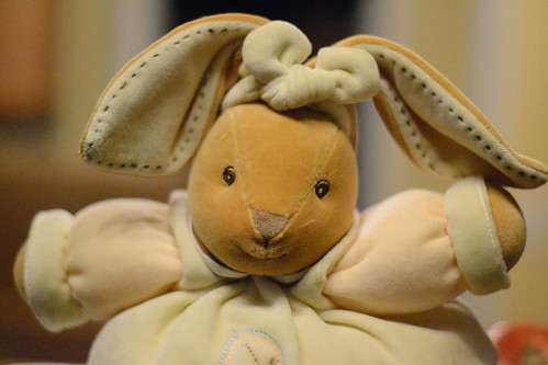 Plush Bunny - Nikon D3100 @ ISO 6400