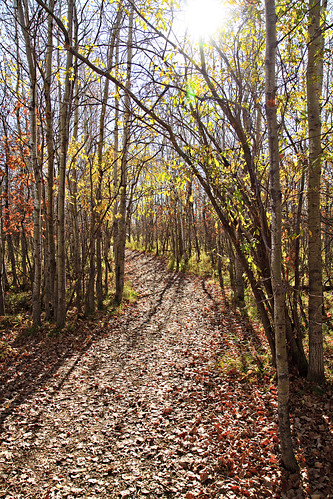 Fort Whyte Path