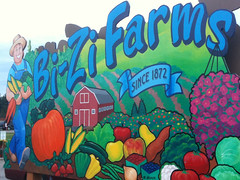 Bi-Zi Farms Pumpkin Patch and Corn Maze