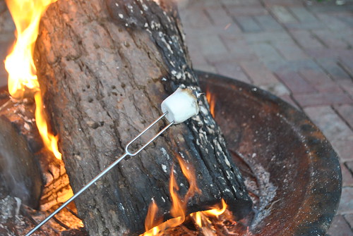 fire pit and marshmallow