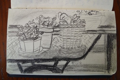 Potted garden