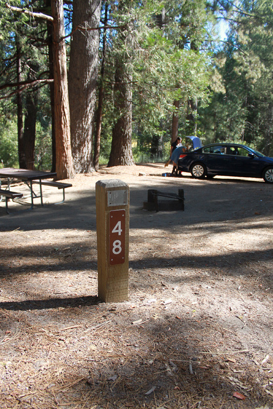 Campsite @ Lily Creek, Idyllwild, CA