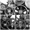The Gears