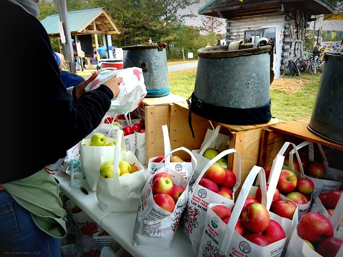 apple buckets