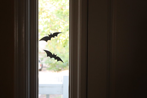 Bats (a.k.a. Belkins)