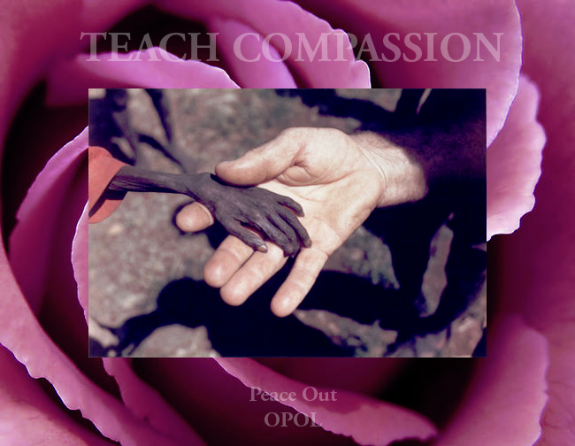 Teach-Compassion-Peace-Out-OPOL