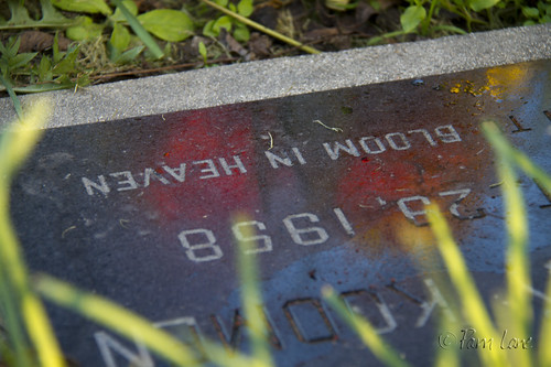 Grave stone at Downey Cemetery
