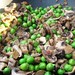 Fresh Green Peas & Mushrooms