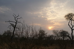 Sunrise at Kruger National Park, South Africa