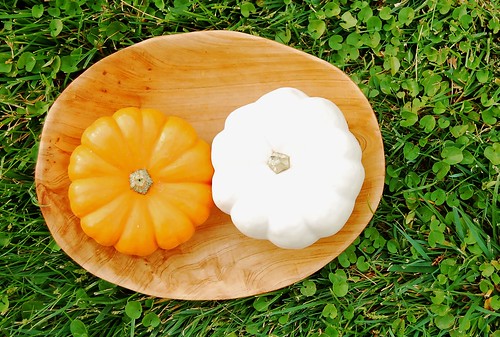 Pumpkins on wooden bowl