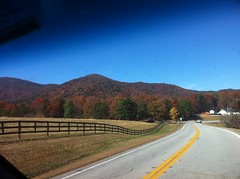  Fall in North Georgia 