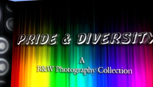 Pride & Diversity : B&W Photo Collection