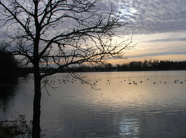 Lake Susan