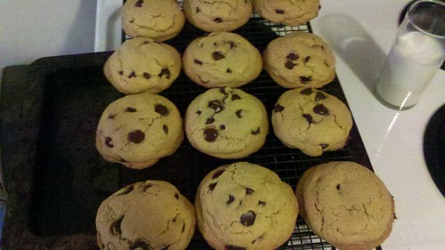 Cookies In Rows