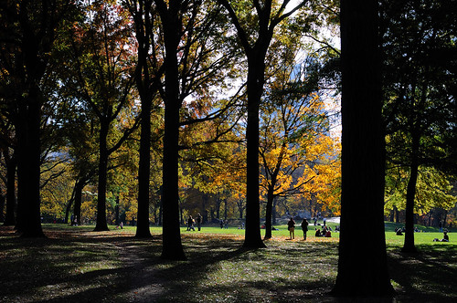 Fall Color in Central Park
