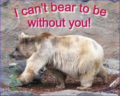 eCard: Missing You -can't bear it