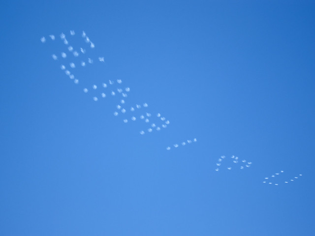 Skywriting Marriage Proposal