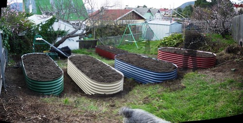 Garden Beds In Place