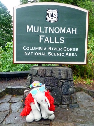 Ms Ella at Multnomah Falls, OR