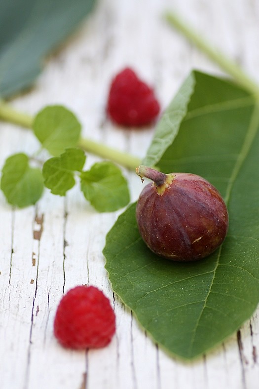 Fig and Raspberries