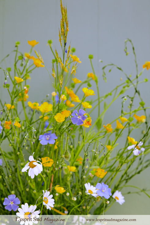 Provence field flowers