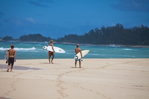 Surfer Boys