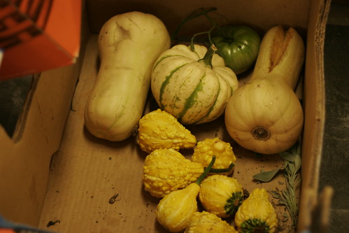 Some squash and other veggies