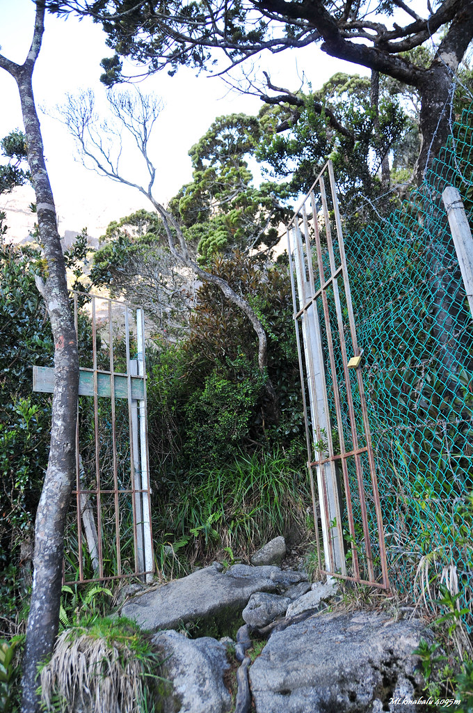 通往神山的門