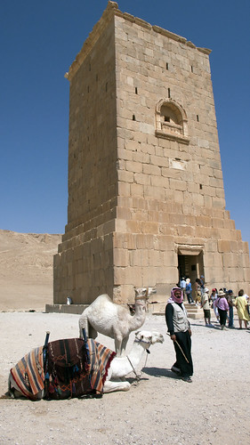 Old tomb and camel