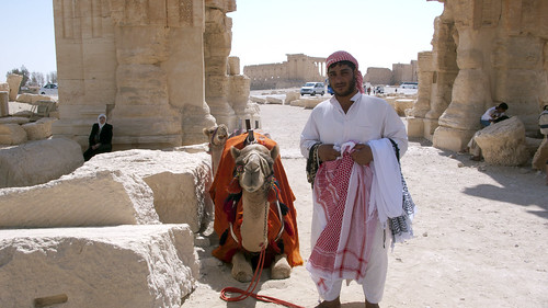 Merchant and camel