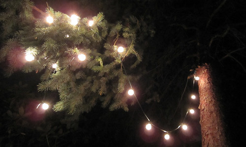 lightsintrees