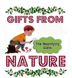 The Magnifying Glass - Gifts From Nature