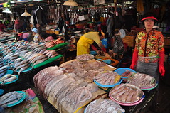Jalgachi Seafood market 6