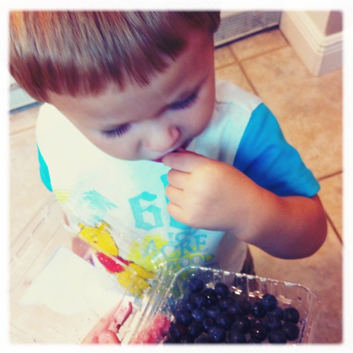 Simple Pleasures... Blueberries from the container