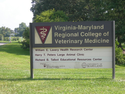 Colleges In Virginia