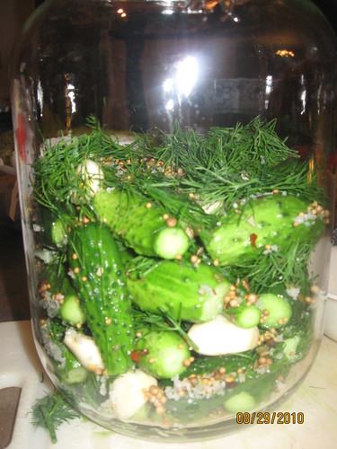 fermented sour pickles 010